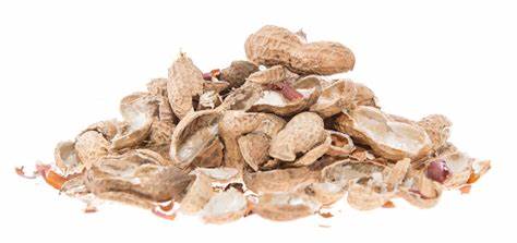 Peanut Shells