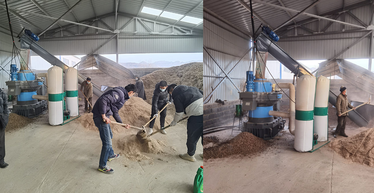 Case study of 2-3 tons per hour peanut shell pelletizing project in Qinhuangdao, Hebei