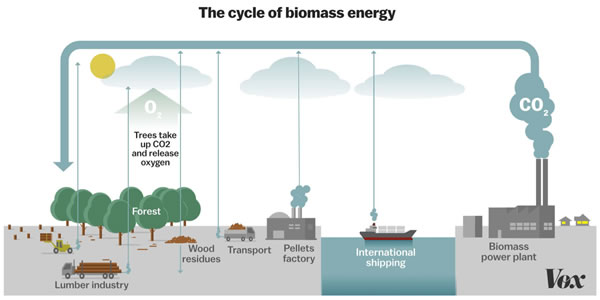 Vision of BMF development in Europe for future decades