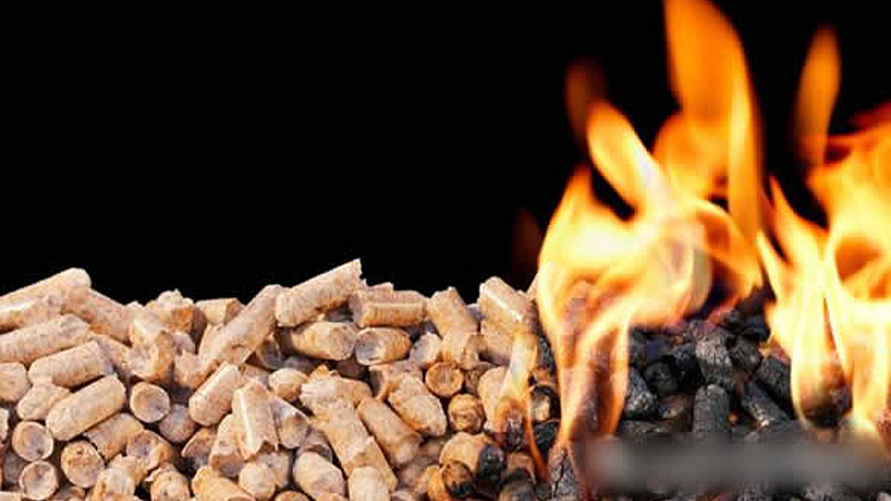 Trends of pellet fuel marketing growth in the future