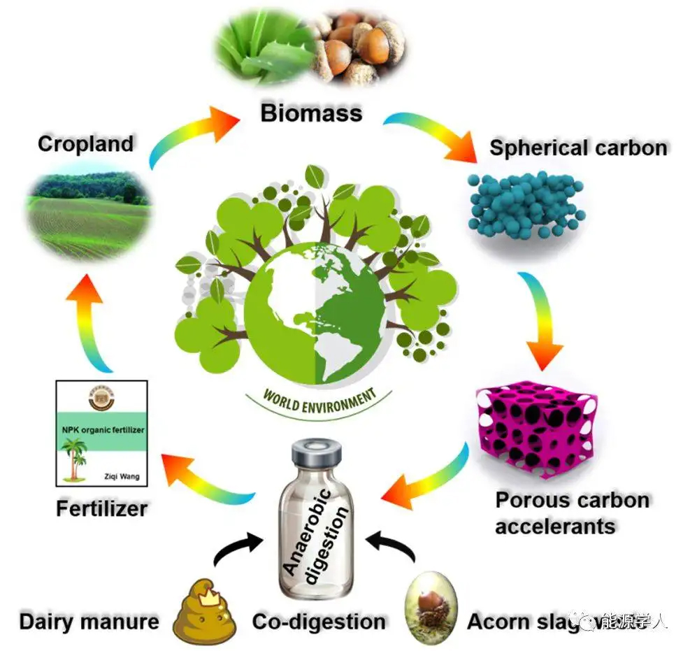 Apa faktor kunci untuk pengembangan energi biomassa?