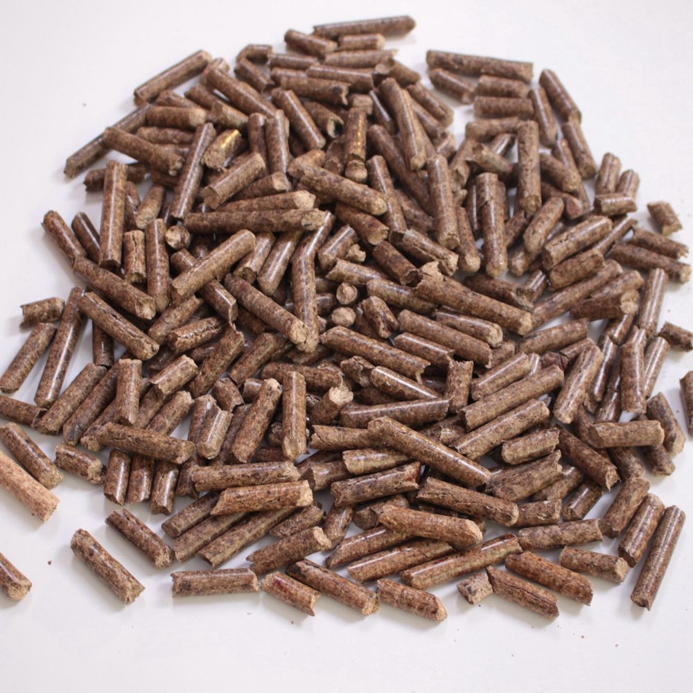 Palm pellets: A new energy source that turns waste into treasure.