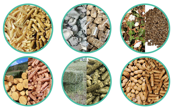 The calorific value of common biomass fuels