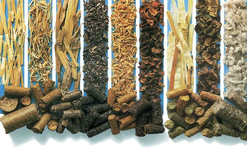 The calorific value of common biomass fuels