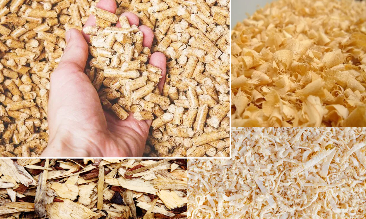 Biomass pellet machine raw material standard